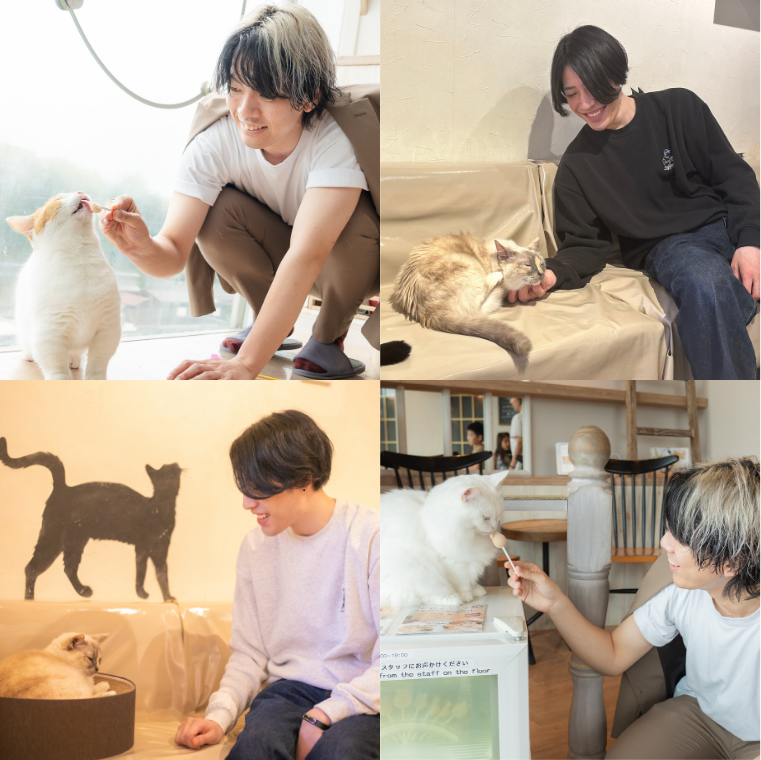 動物カフェ撮影プラン